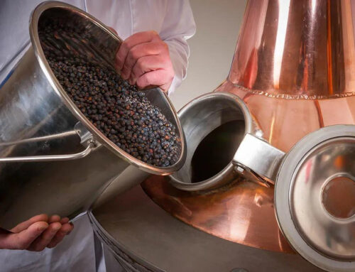 Gin Distilling Techniques: Mastering Botanical Extractio