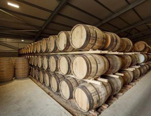 Impacts of Different Storage Conditions on Spirit Profile